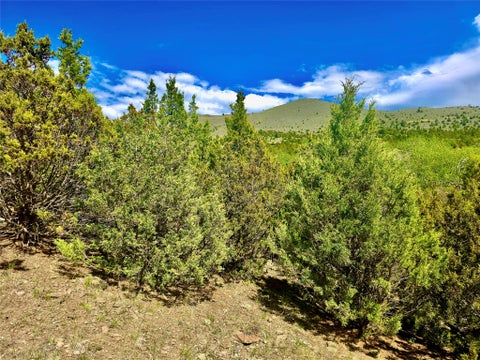 Tiny photo for Block 172 Lots 1-12 Wallace Street, Virginia City, MT 59755 (MLS # 30072481)