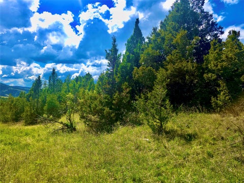 Tiny photo for Block 172 Lots 1-12 Wallace Street, Virginia City, MT 59755 (MLS # 30072481)