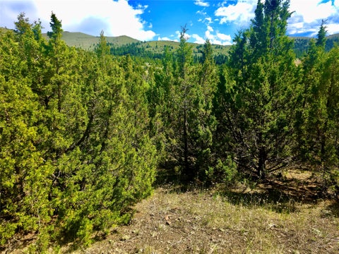 Tiny photo for Block 172 Lots 1-12 Wallace Street, Virginia City, MT 59755 (MLS # 30072481)