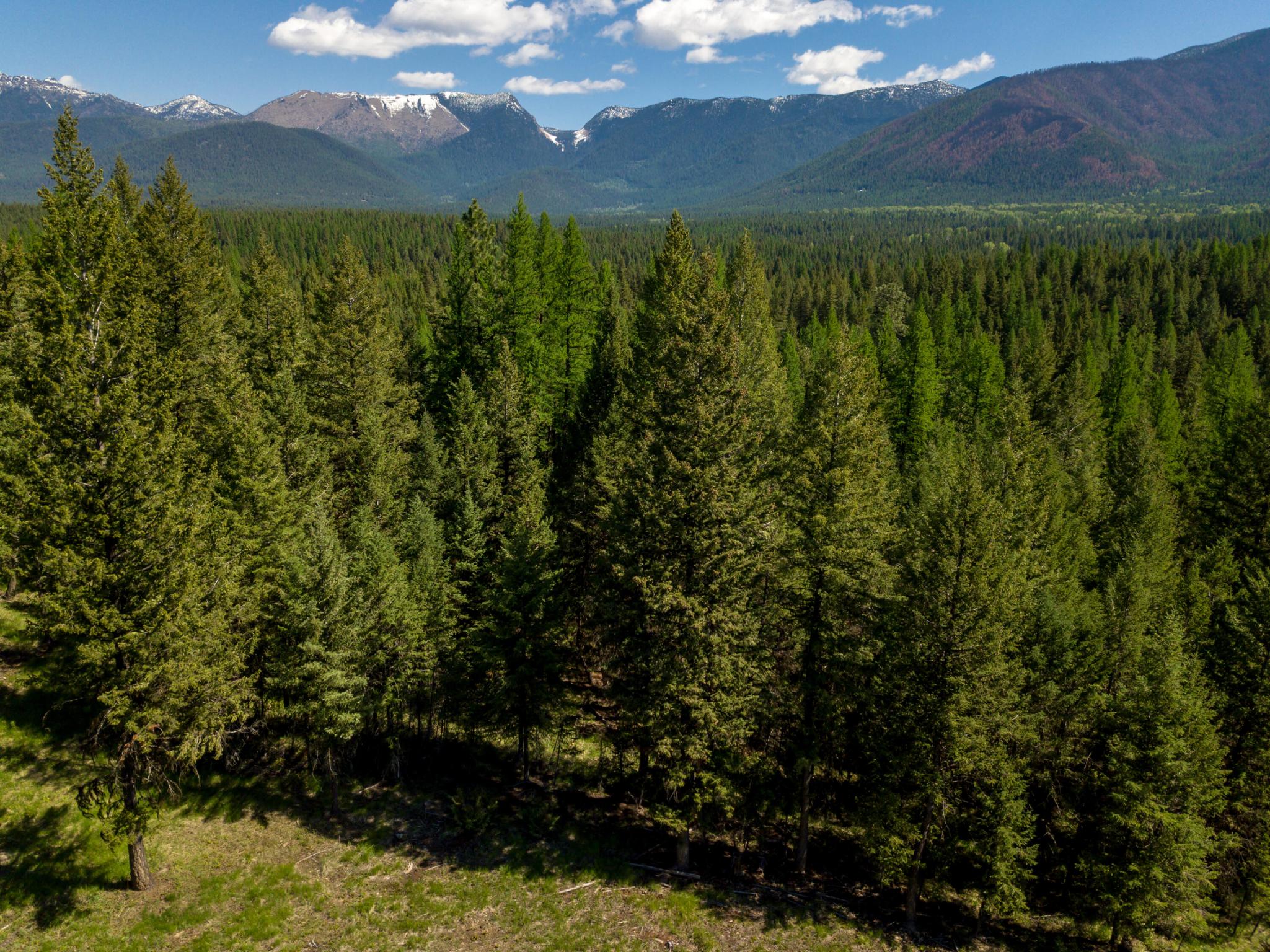 Nhn Aspen Glen Road Lot 5
