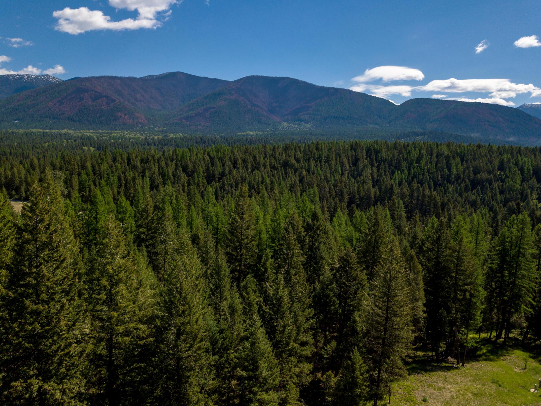 Nhn Aspen Glen Road Lot 5