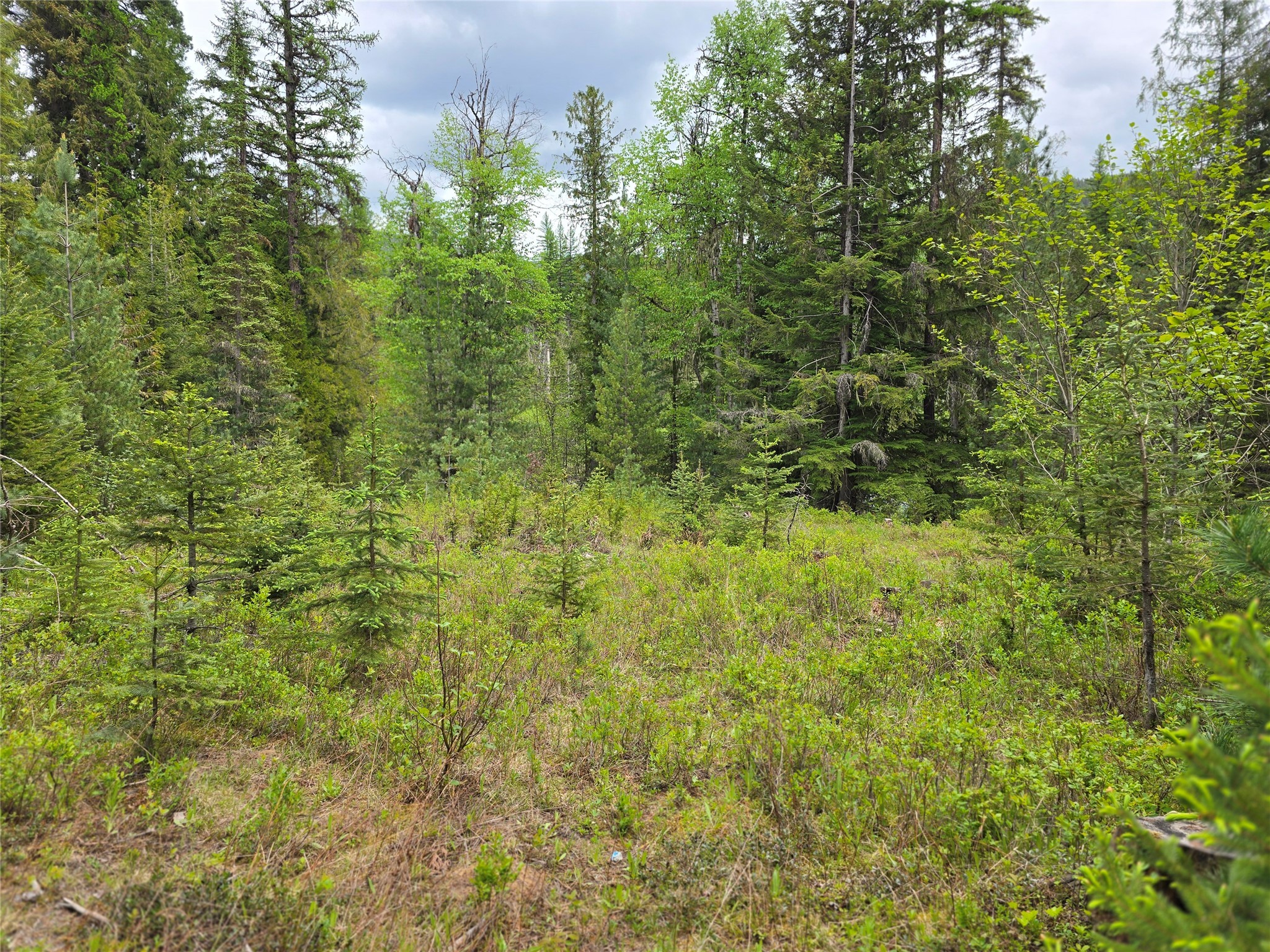 10689 Yaak River Road