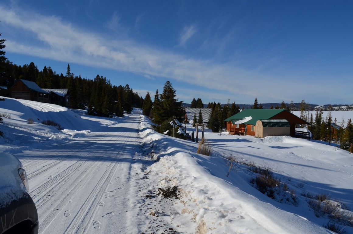 112 Lodgepole Lane E