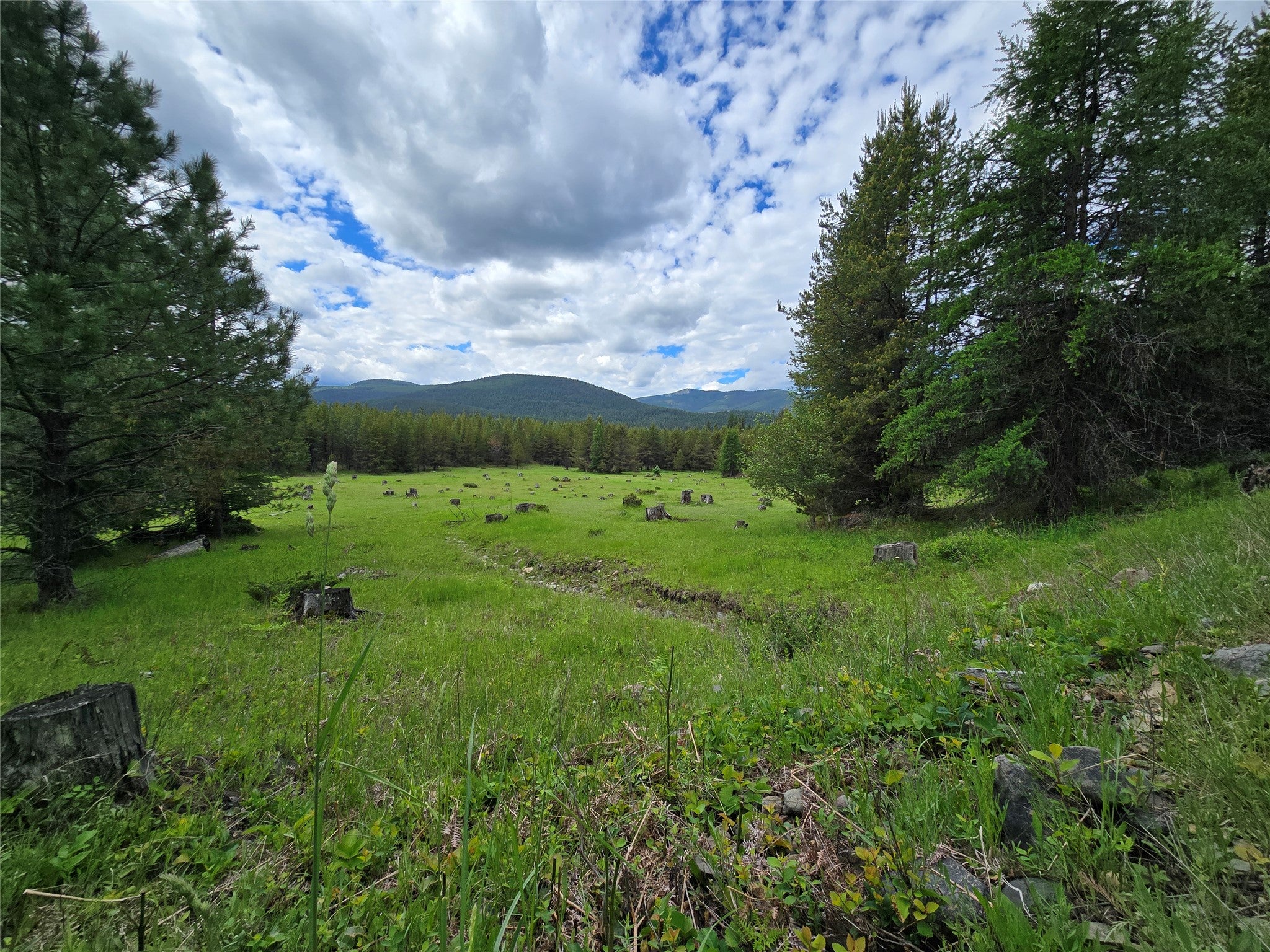 Photo 1 of 43 — 28341 Yaak River Road, Troy, MT 59935