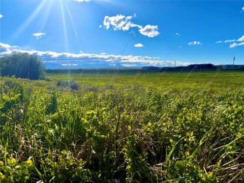 Tiny photo for TBD Norman Road, Browning, MT 59417 (MLS # 30073366)
