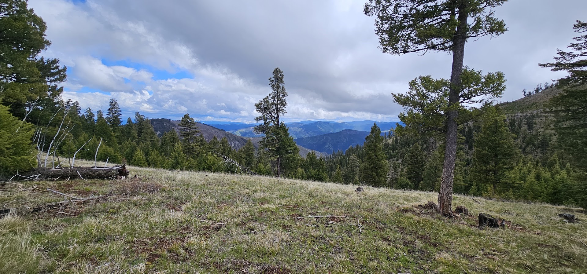 2 Tract, Garnet Range