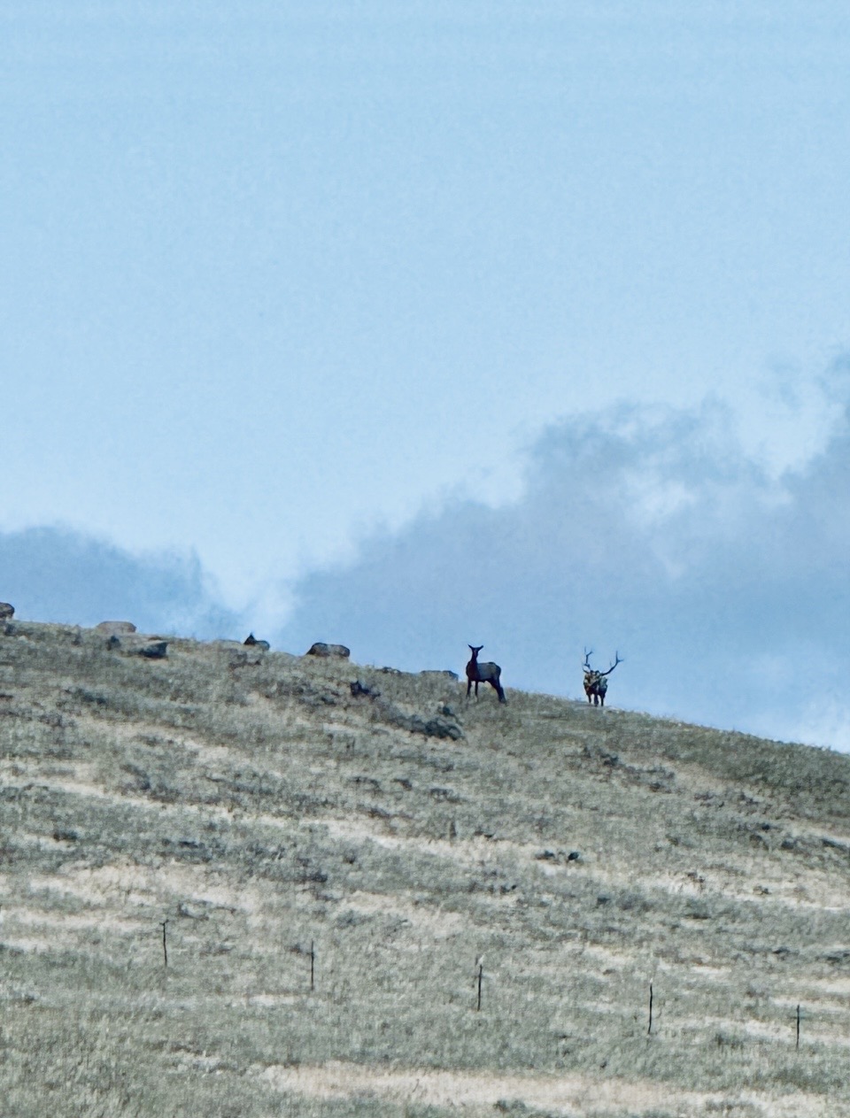 TBD Fiddlers Green Road