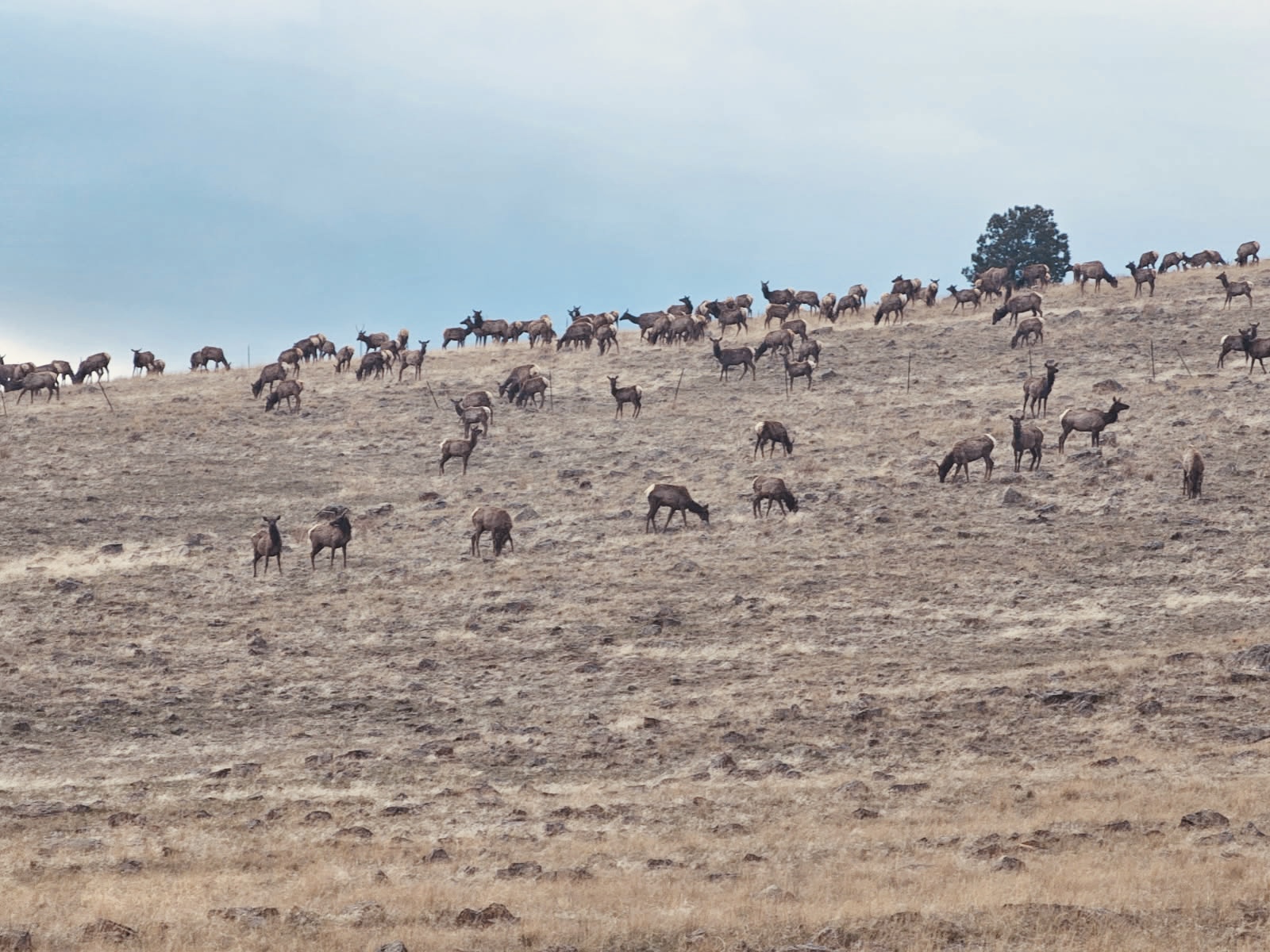 TBD Fiddlers Green Road