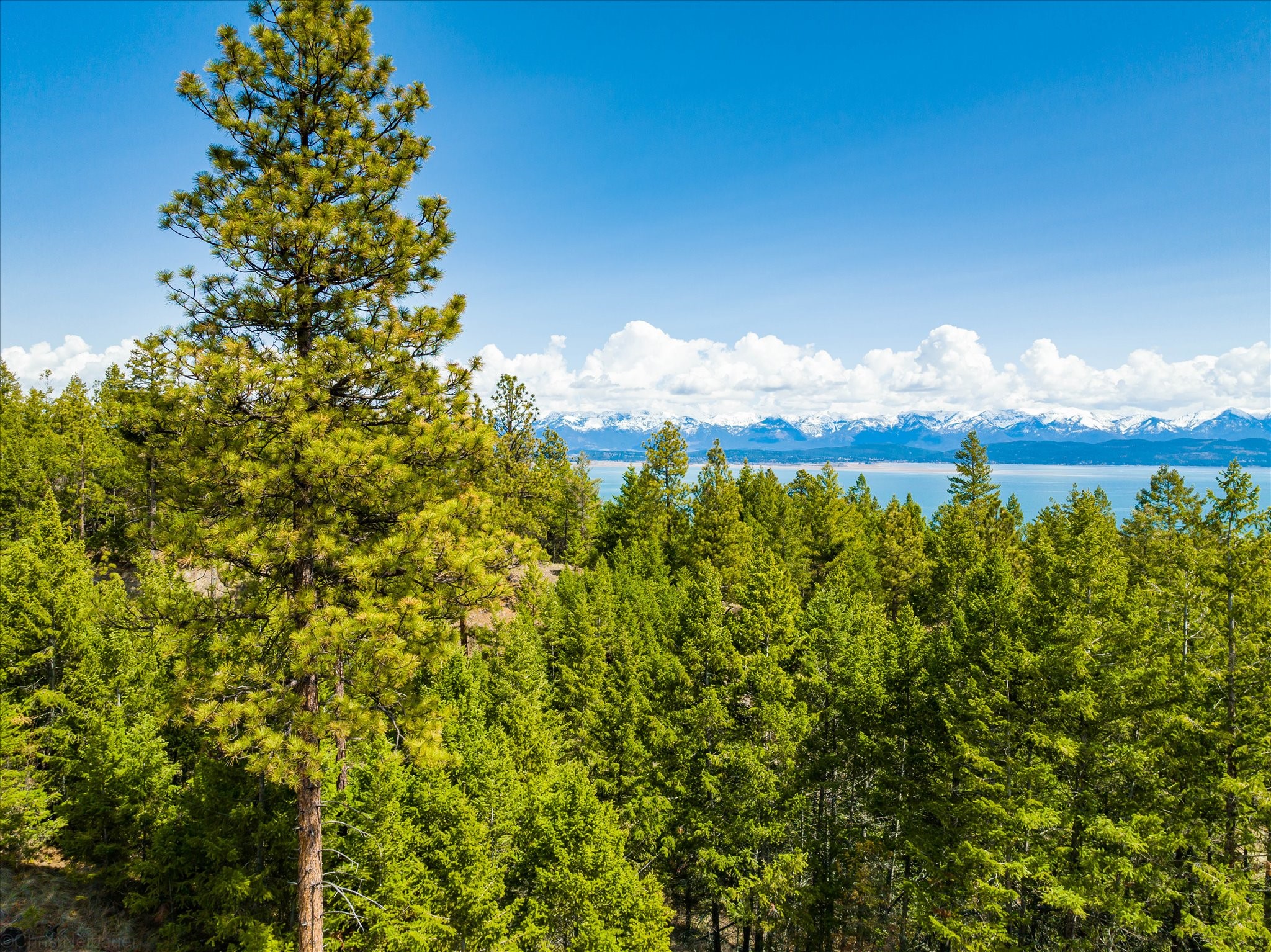 Lakeside, Montana 59922, United States, ,Land,Pending,59905