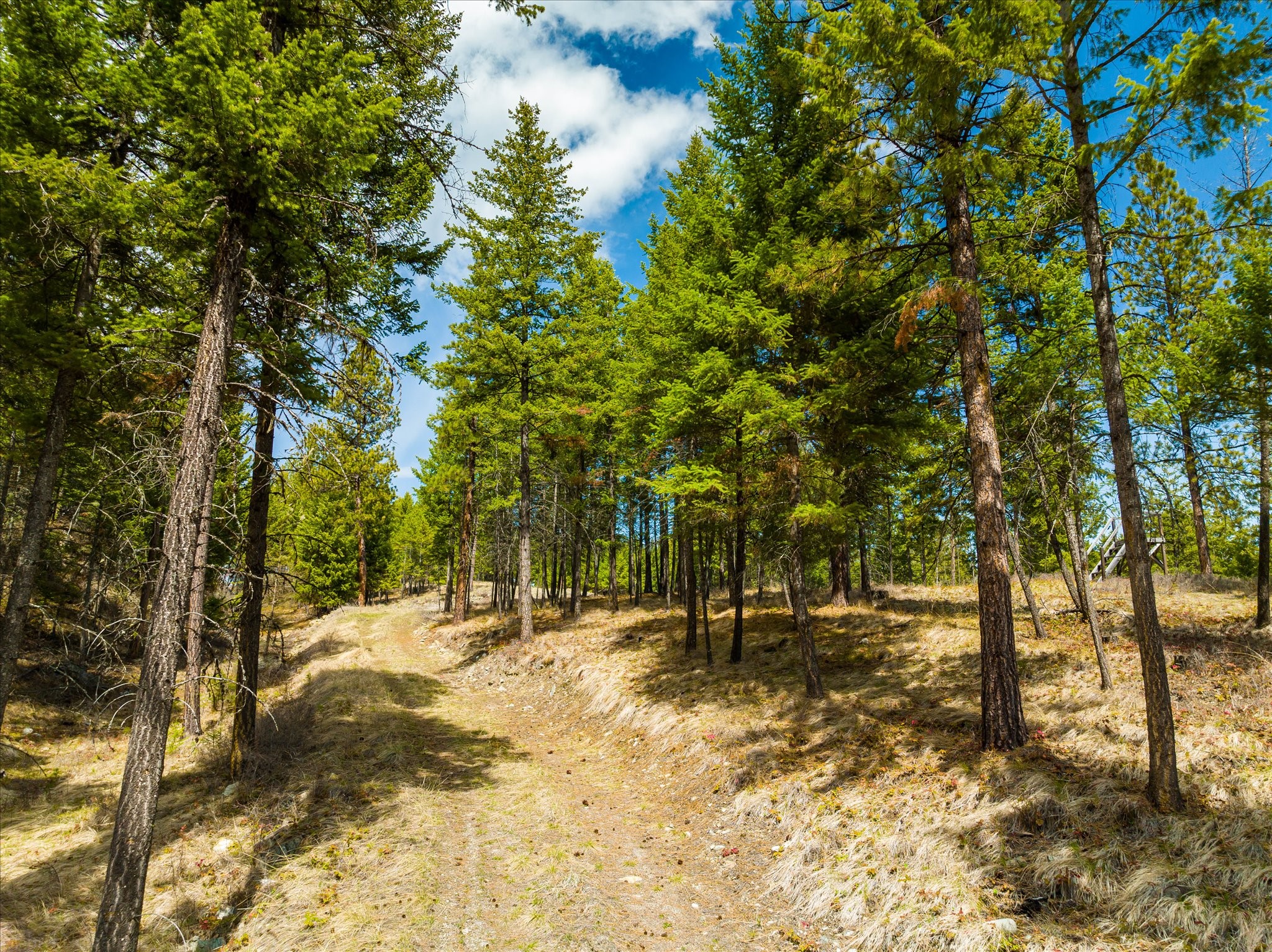 Lakeside, Montana 59922, United States, ,Land,Pending,59905