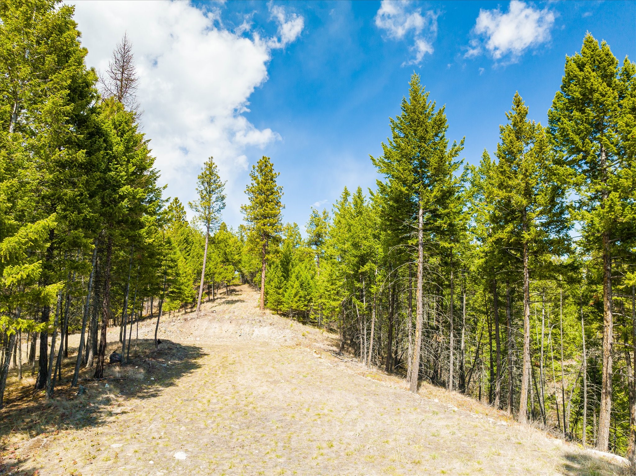 Lakeside, Montana 59922, United States, ,Land,Pending,59905