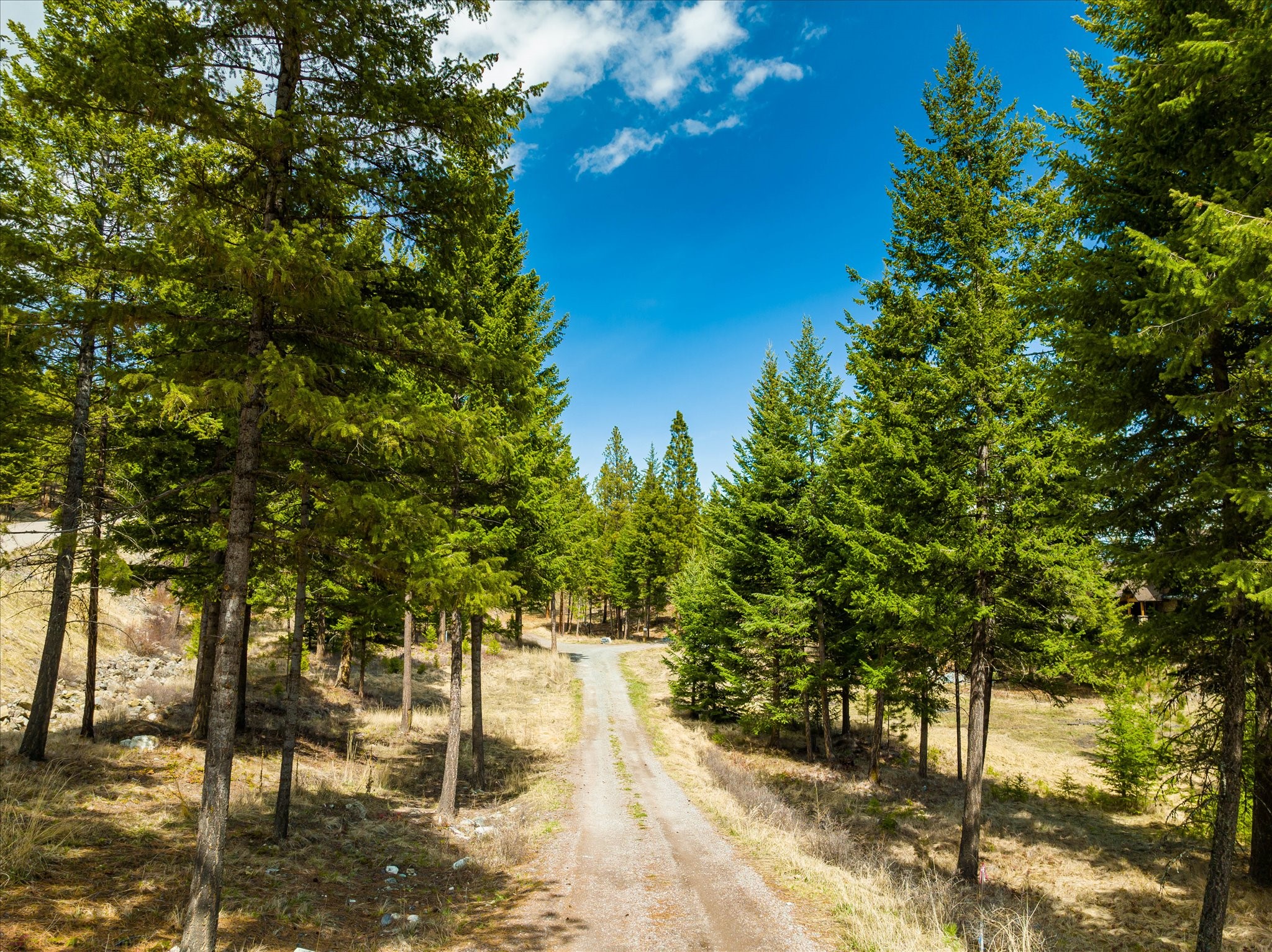 Lakeside, Montana 59922, United States, ,Land,Pending,59905