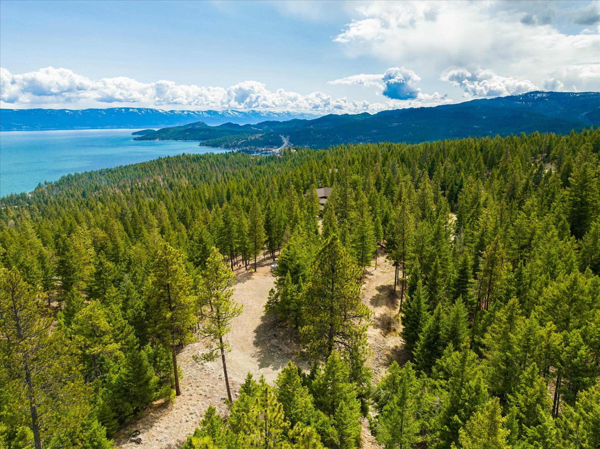 Lakeside, Montana 59922, United States, ,Land,Pending,59905