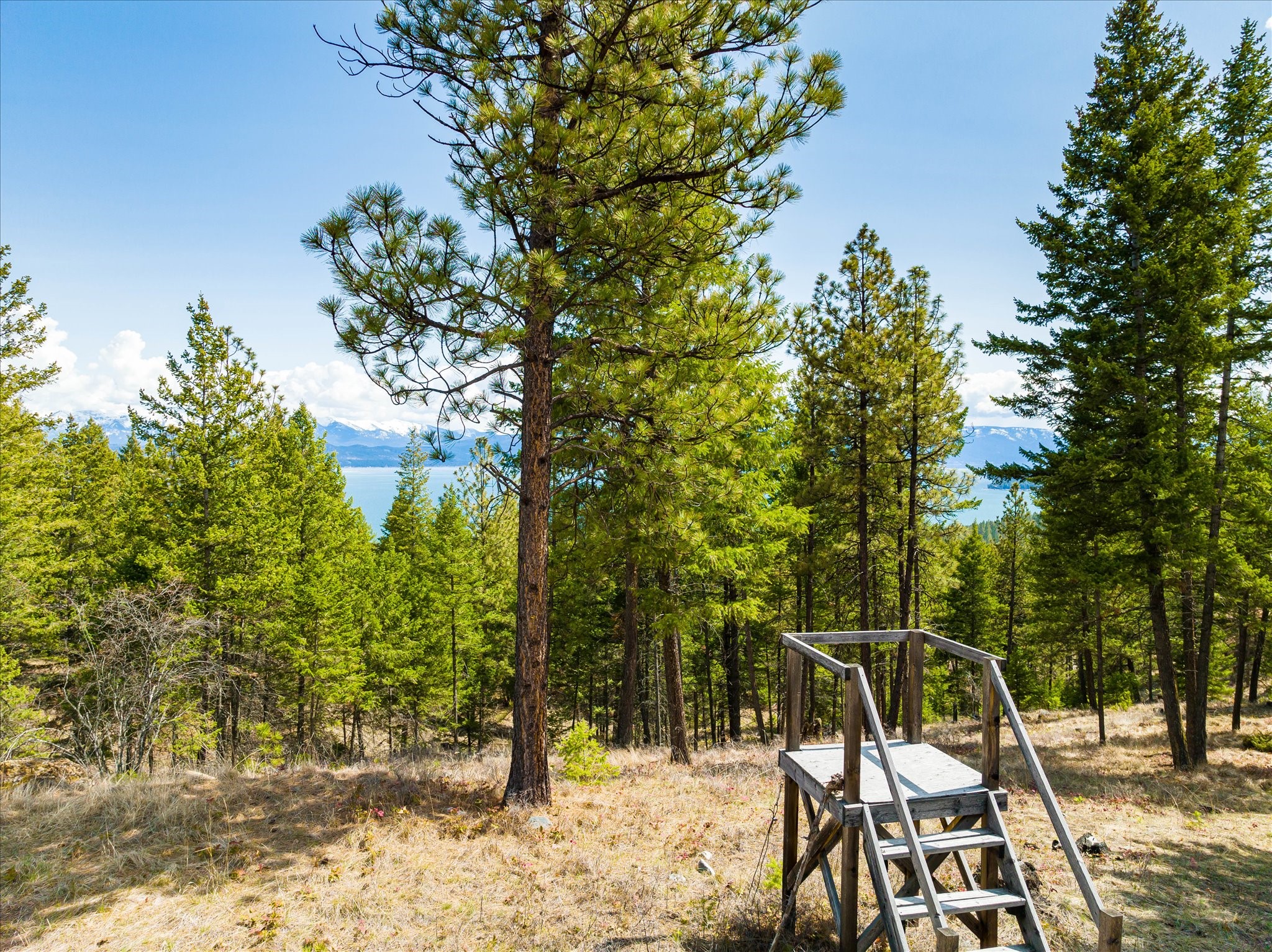 Lakeside, Montana 59922, United States, ,Land,Pending,59905