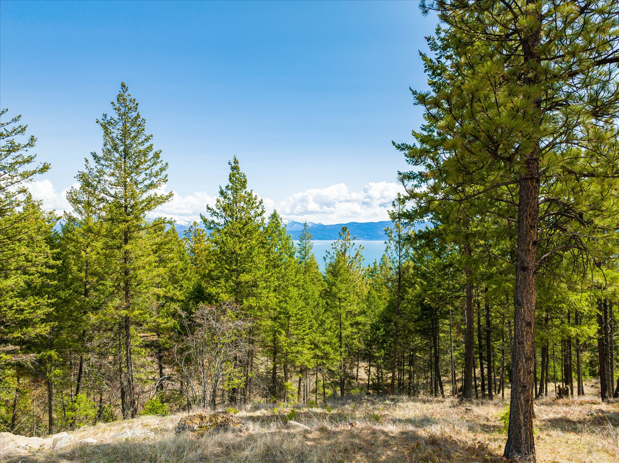 Lakeside, Montana 59922, United States, ,Land,Pending,59905