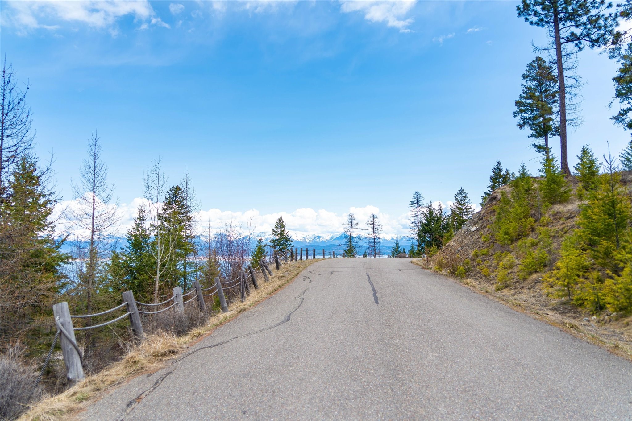 Lakeside, Montana 59922, United States, ,Land,Pending,59905