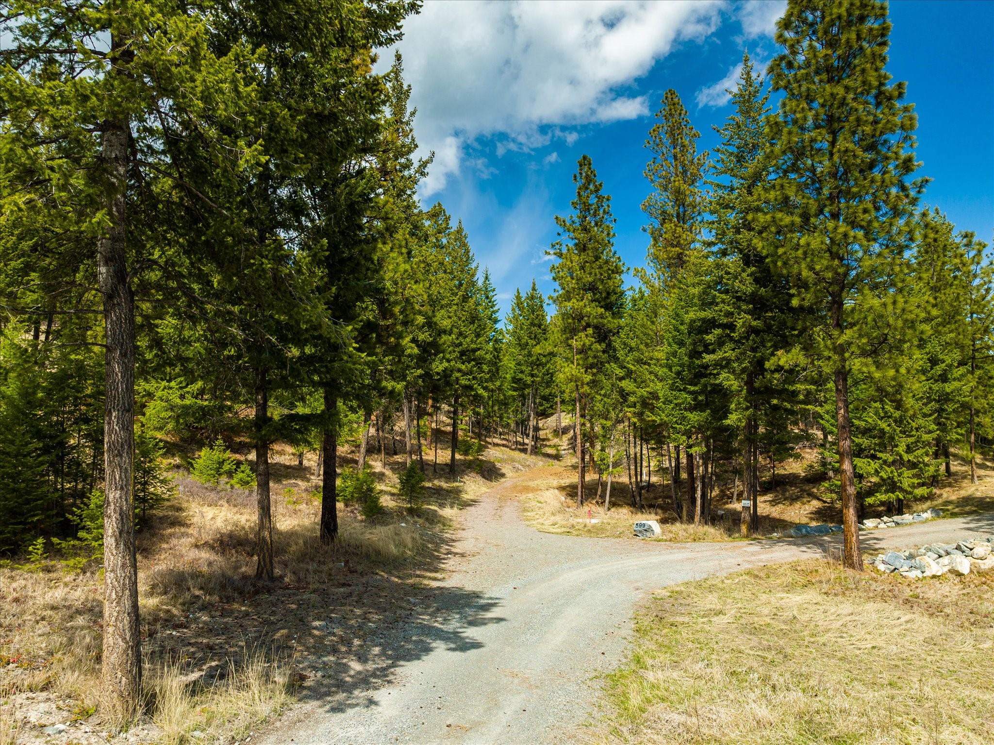 Lakeside, Montana 59922, United States, ,Land,Pending,59905