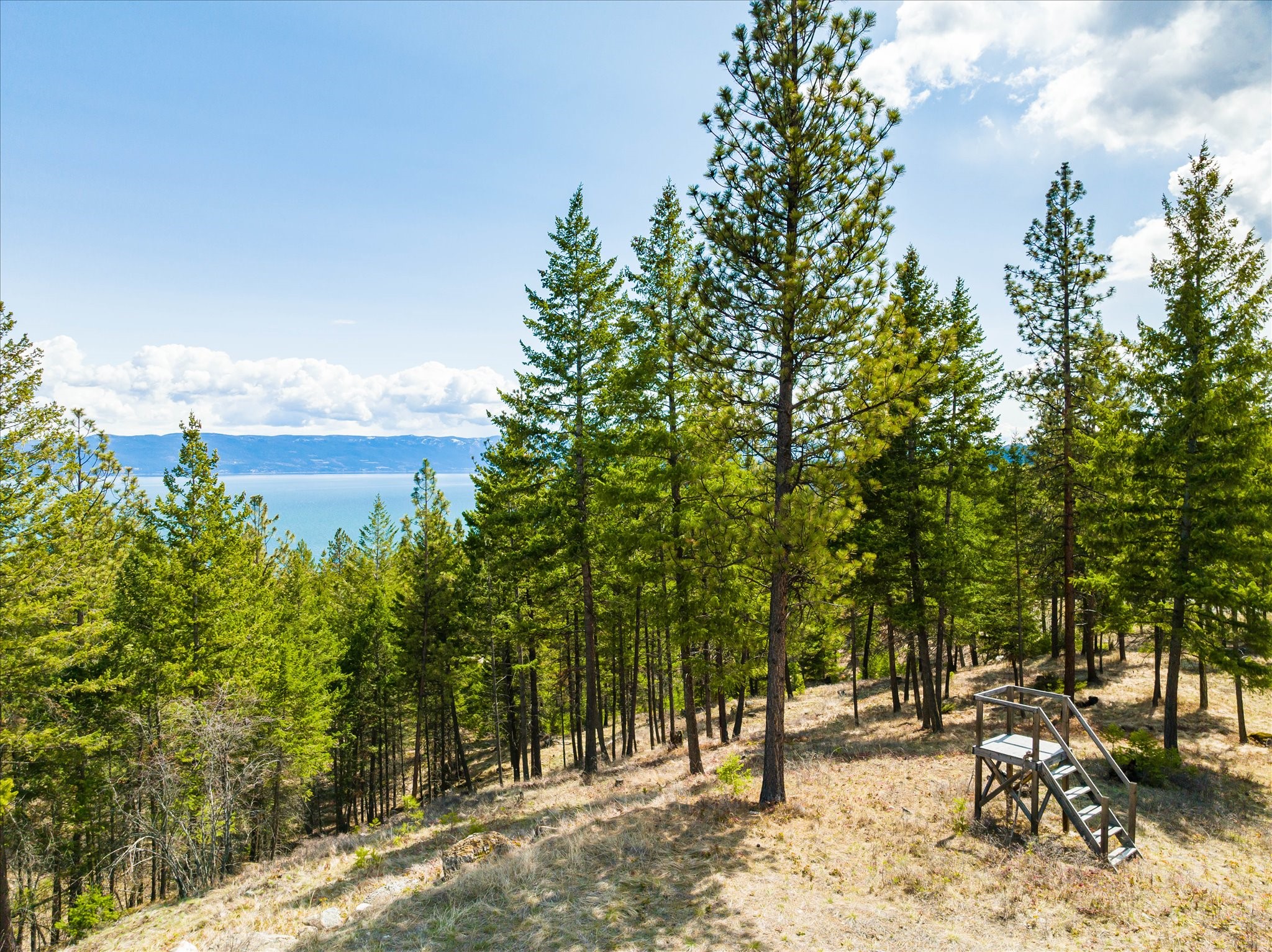 Lakeside, Montana 59922, United States, ,Land,Pending,59905