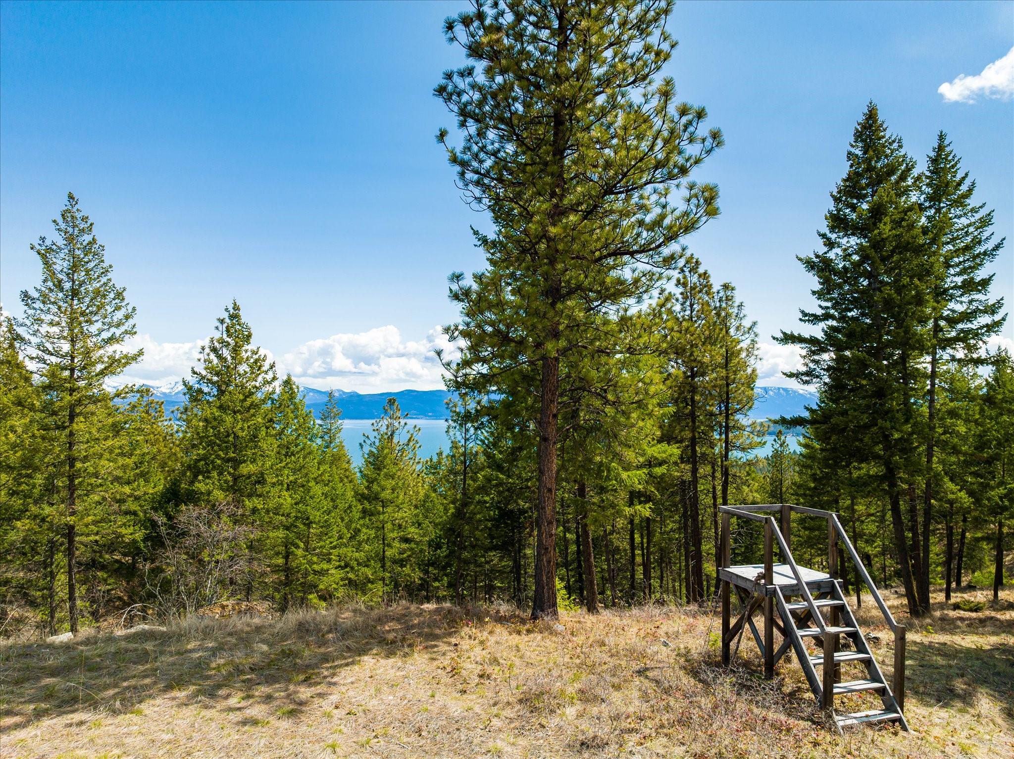 Lakeside, Montana 59922, United States, ,Land,Pending,59905