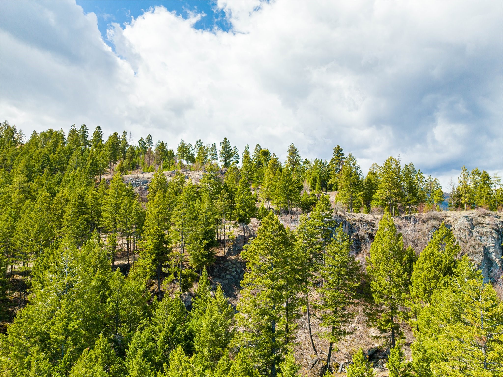 Lakeside, Montana 59922, United States, ,Land,Pending,59905