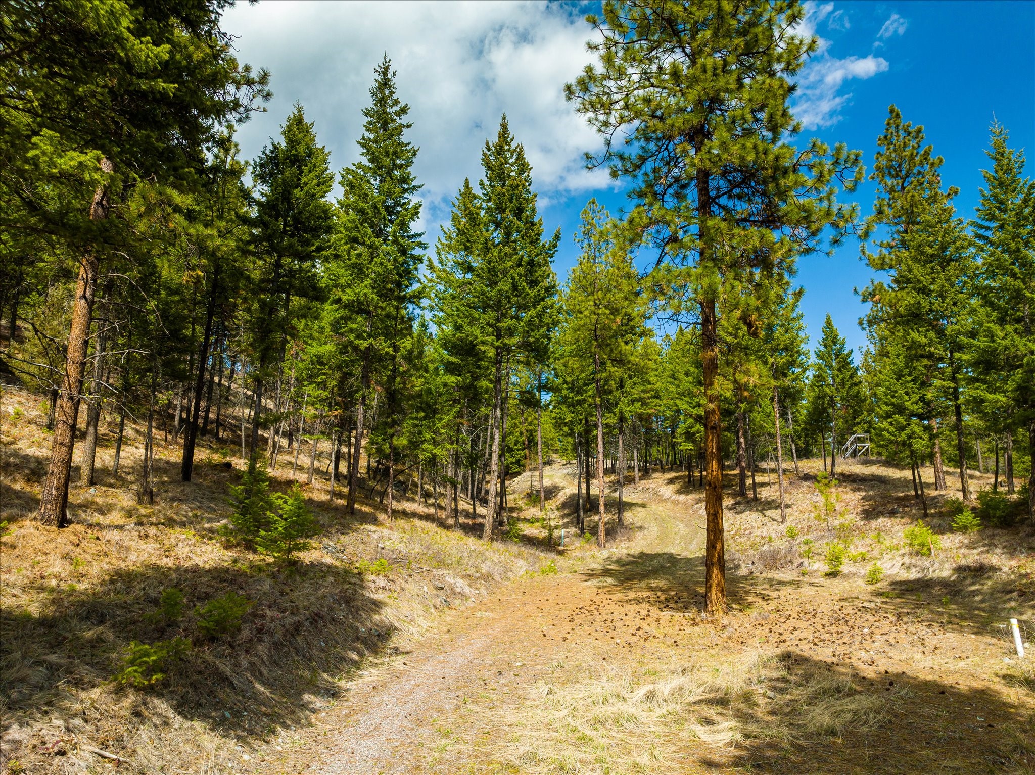 Lakeside, Montana 59922, United States, ,Land,Pending,59905