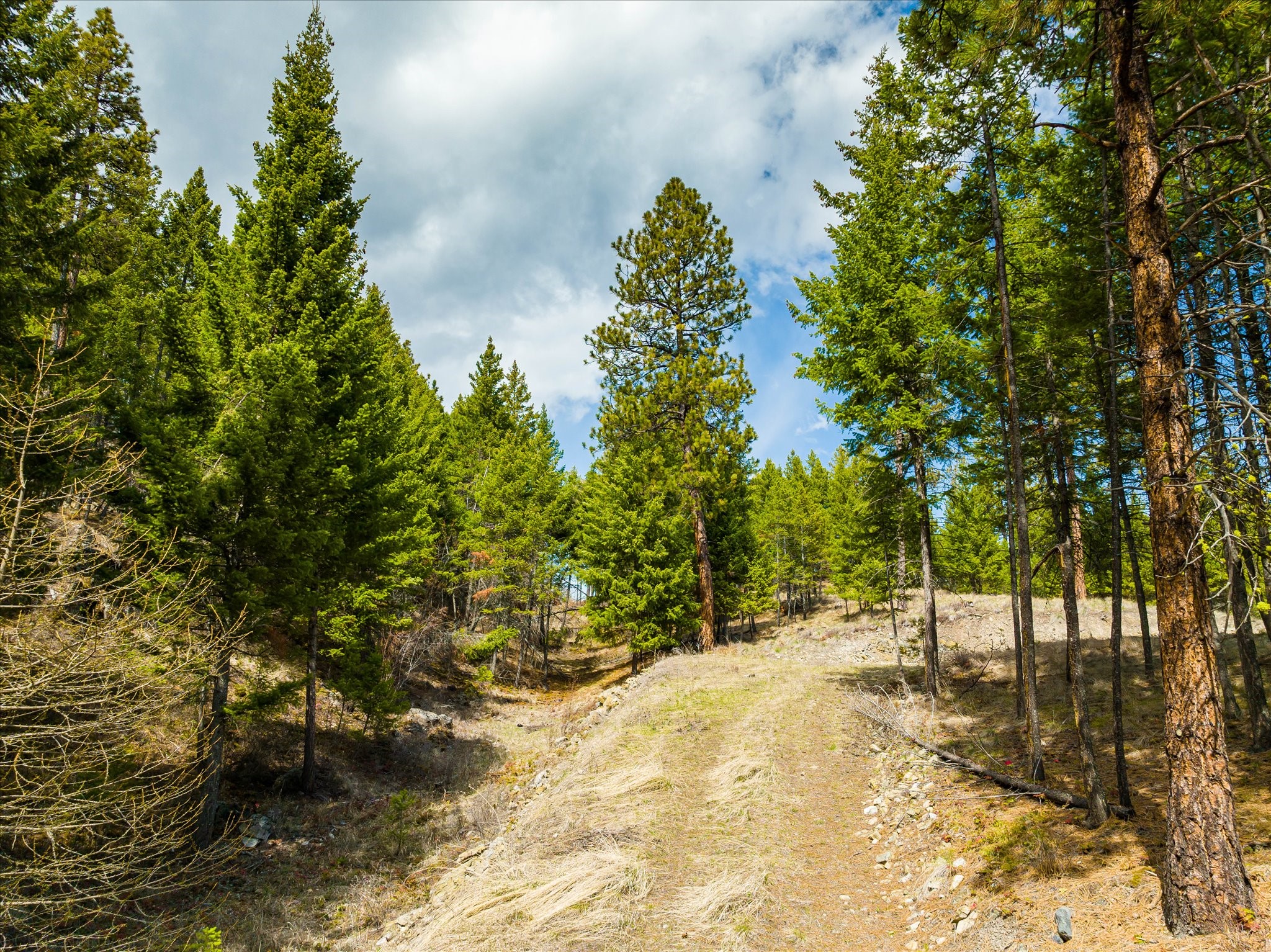 Lakeside, Montana 59922, United States, ,Land,Pending,59905