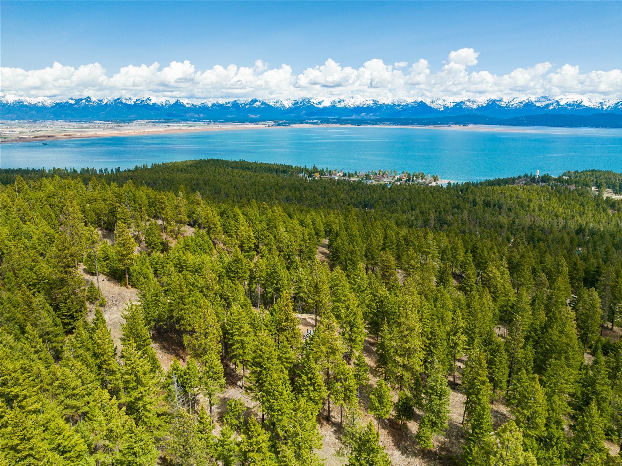 Lakeside, Montana 59922, United States, ,Land,Pending,59905