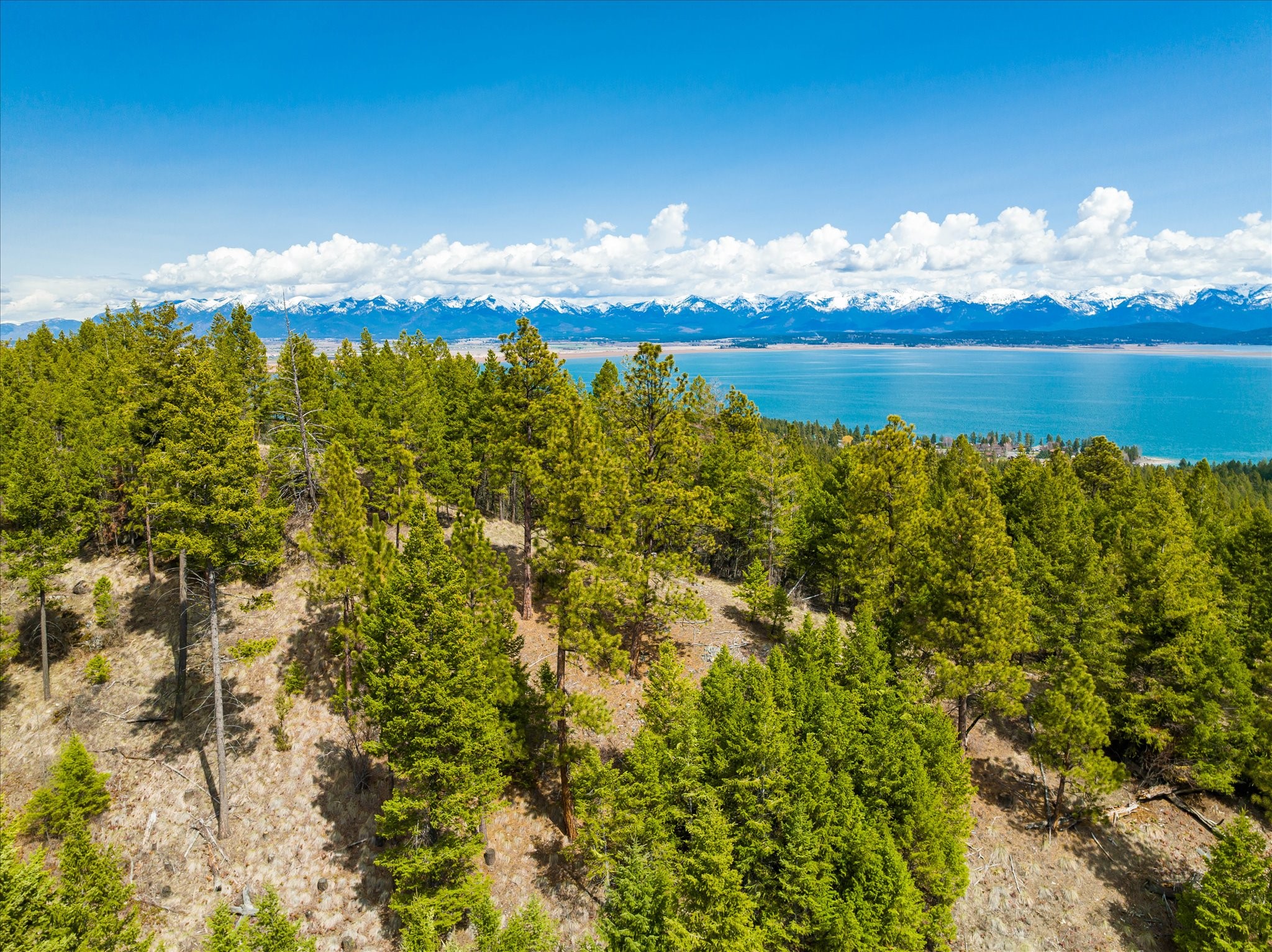 Lakeside, Montana 59922, United States, ,Land,Pending,59905