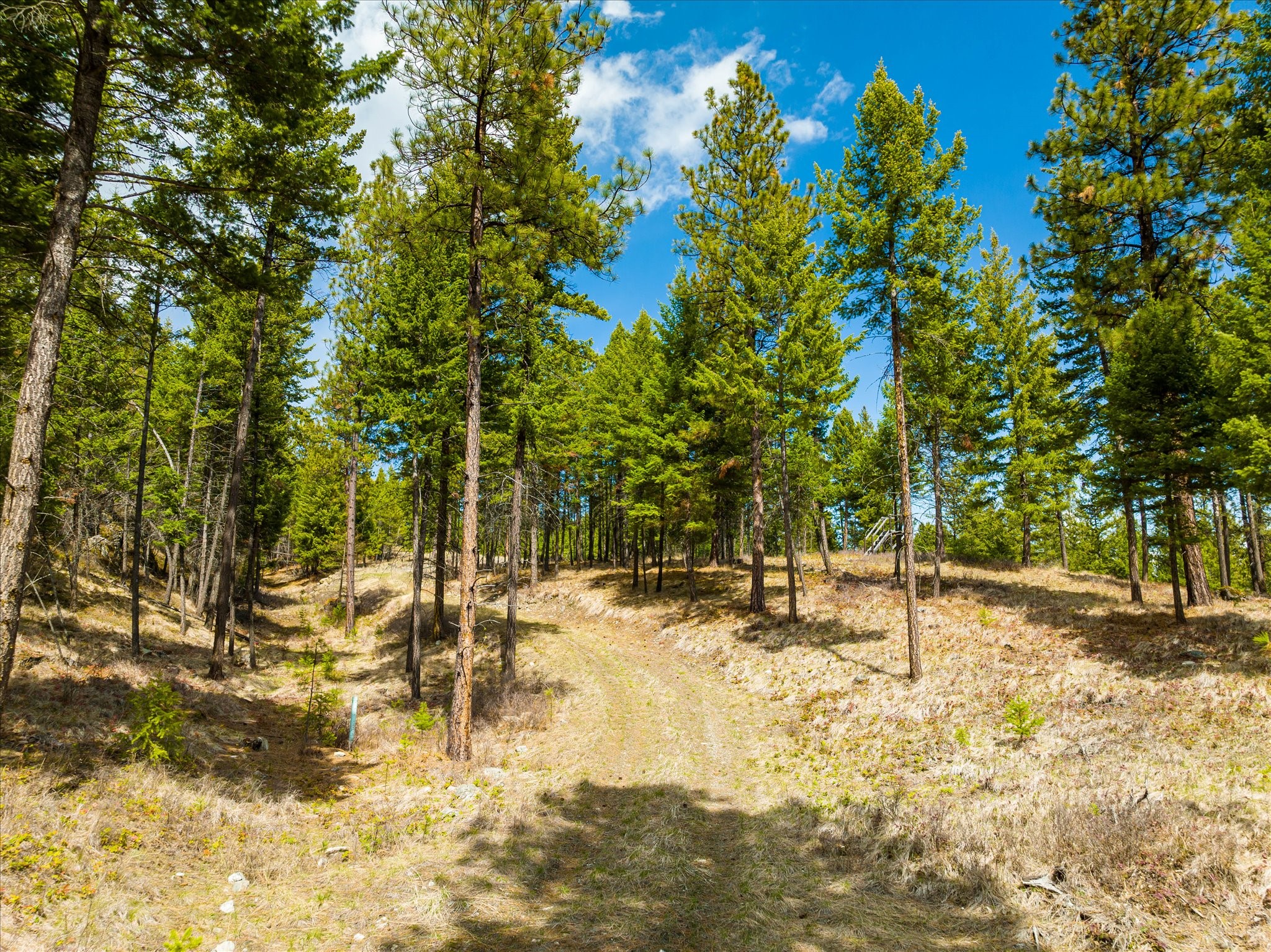 Lakeside, Montana 59922, United States, ,Land,Pending,59905