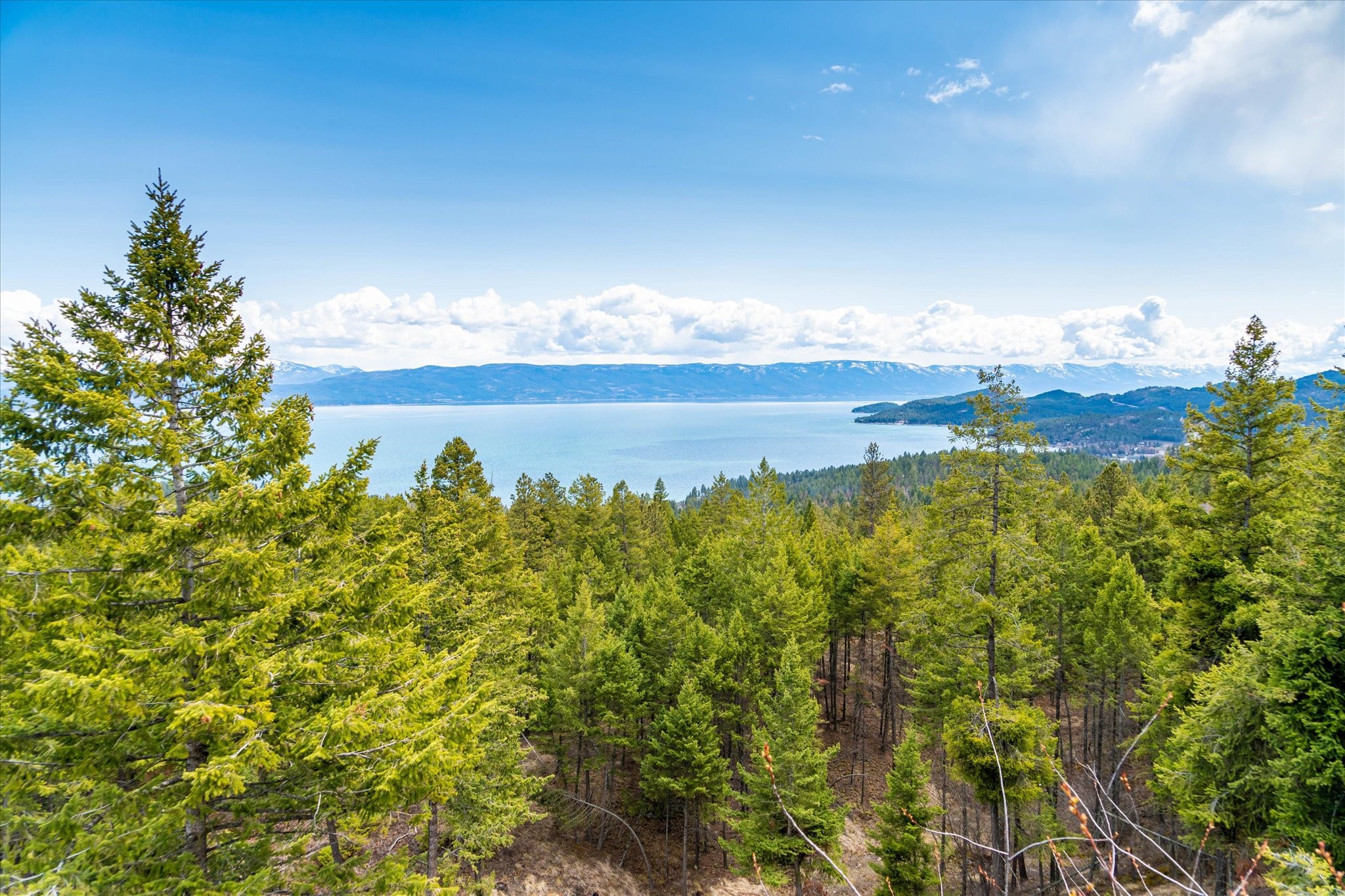 Lakeside, Montana 59922, United States, ,Land,Pending,59905