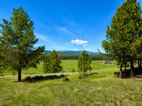 Tiny photo for 2890 Lower Lost Prairie Road, Marion, MT 59925 (MLS # 30076514)