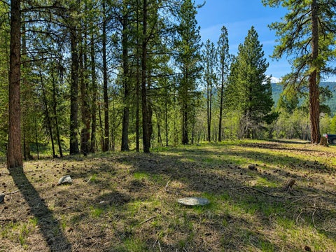 Tiny photo for 2890 Lower Lost Prairie Road, Marion, MT 59925 (MLS # 30076514)