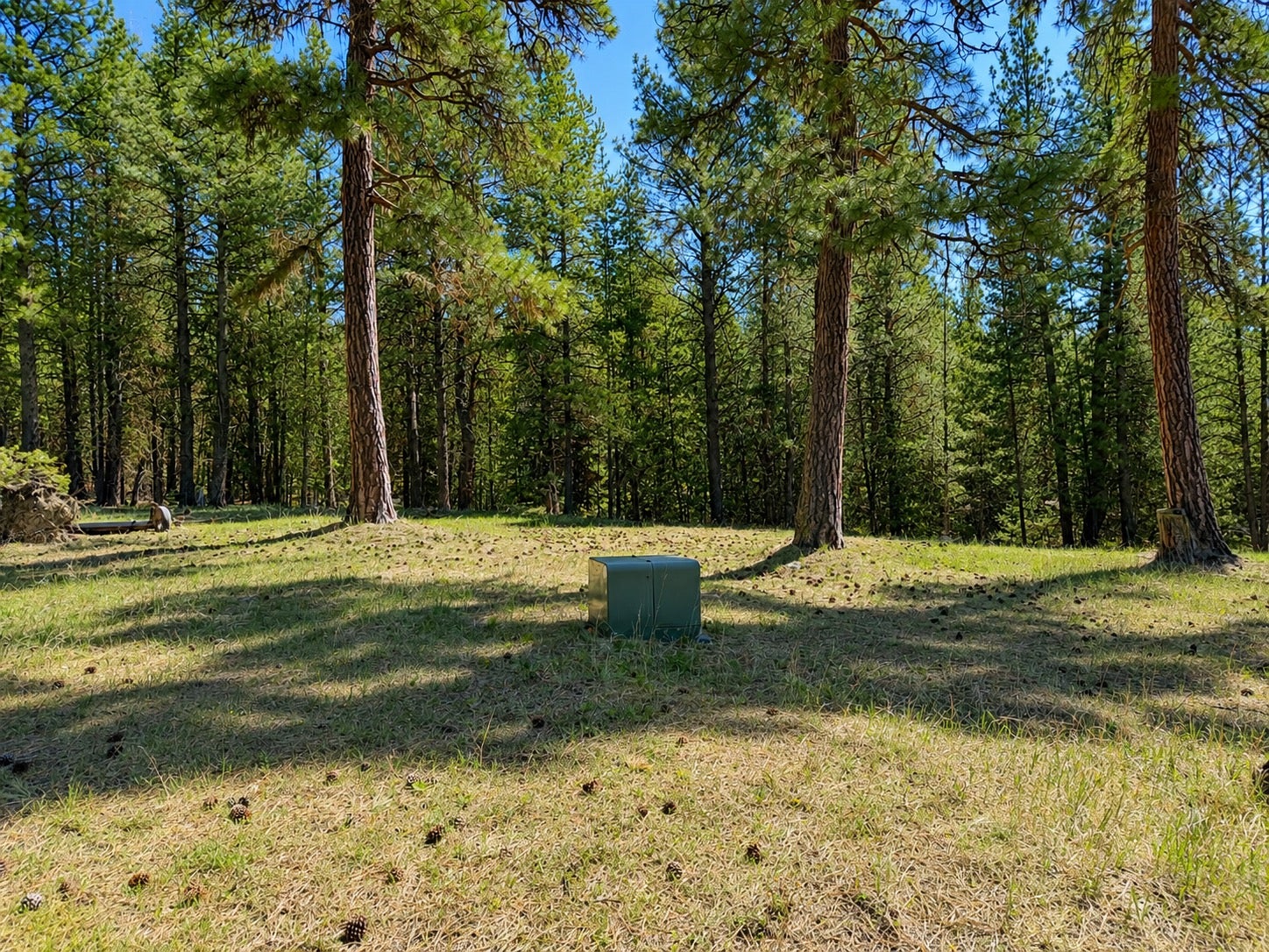 2890 Lower Lost Prairie Road