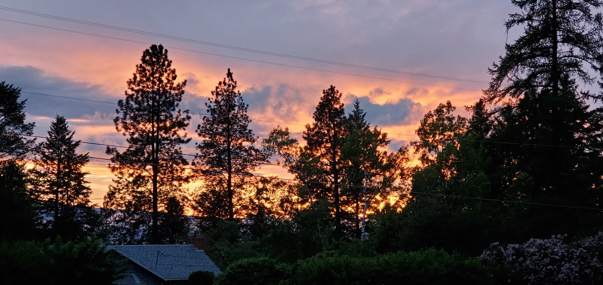 Bigfork, Montana 59911, United States, 4 Bedrooms Bedrooms, ,4 BathroomsBathrooms,Residential,Active,26775