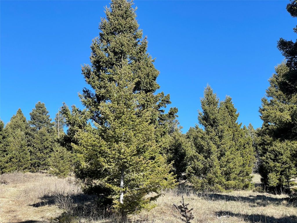 Photo of 6750- 4A Turk Road, Helena, MT 59602 (MLS # 30068789)