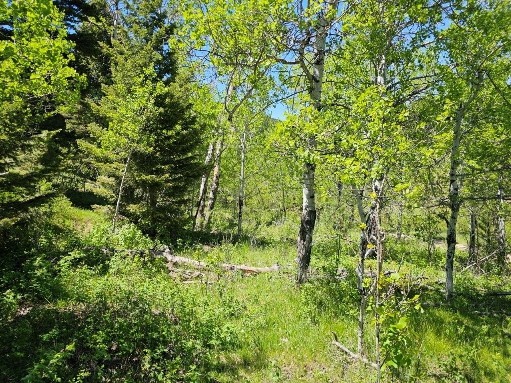Photo of TBD Corbin Road, Jefferson City, MT 59638 (MLS # 30069798)
