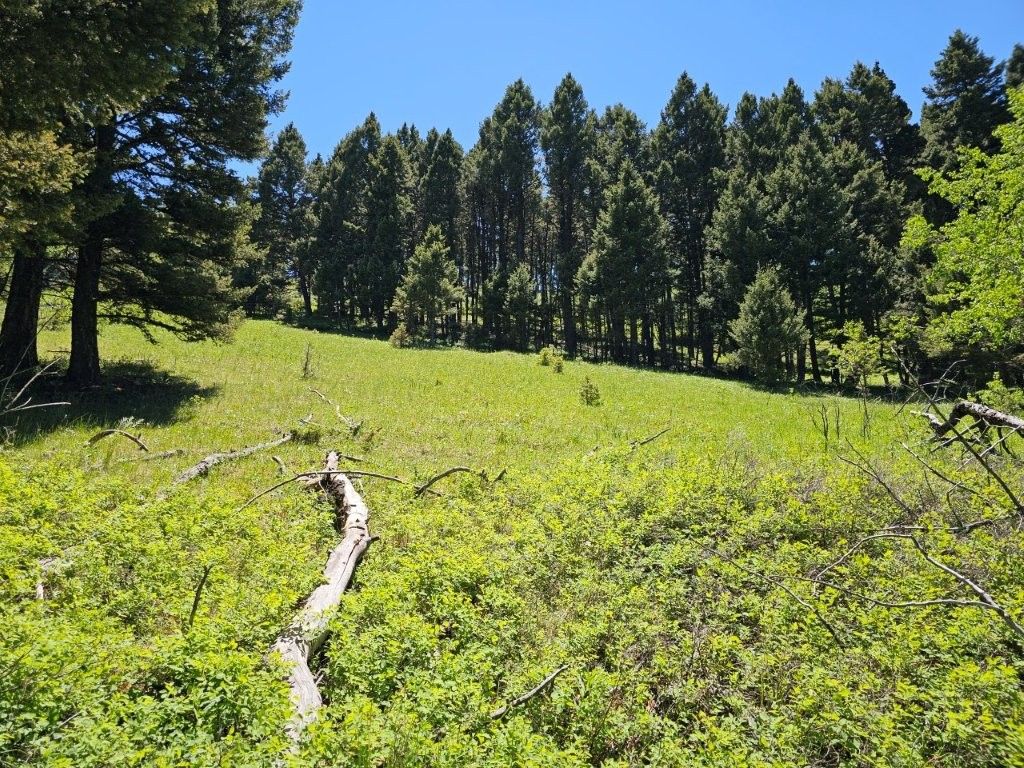 Photo of TBD Corbin Road, Jefferson City, MT 59638 (MLS # 30069798)