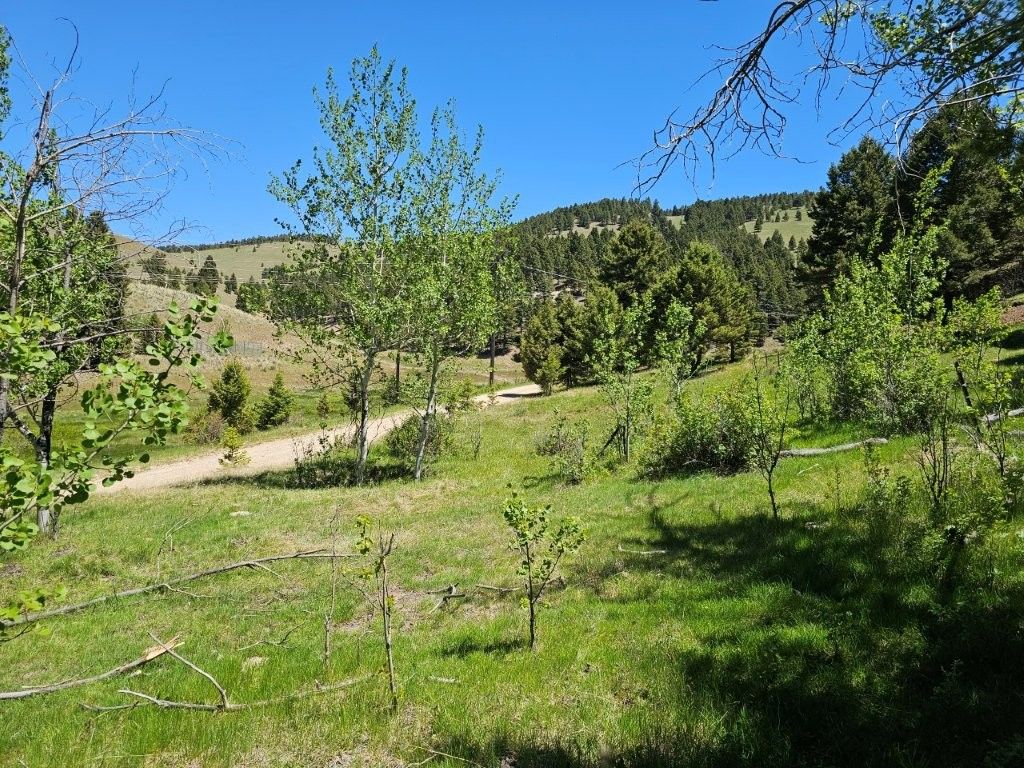 Photo of TBD Corbin Road, Jefferson City, MT 59638 (MLS # 30069798)