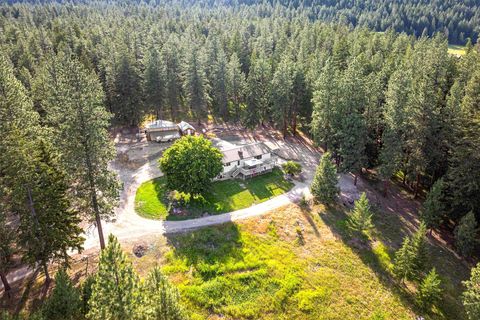 Photo of 558 Timber Trail, Stevensville, MT 59870 (MLS # 30052584)