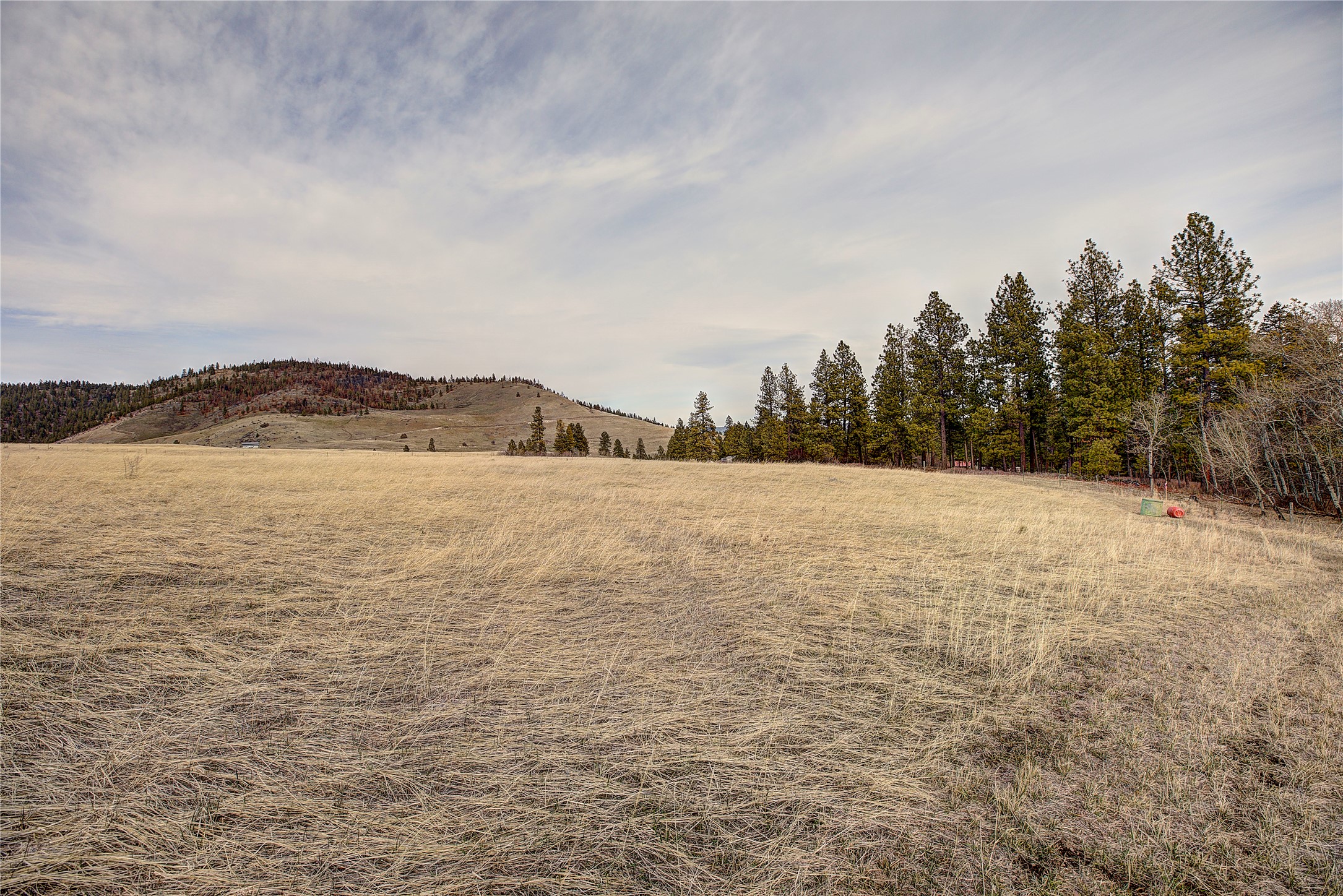 31365 Walking Horse Lane