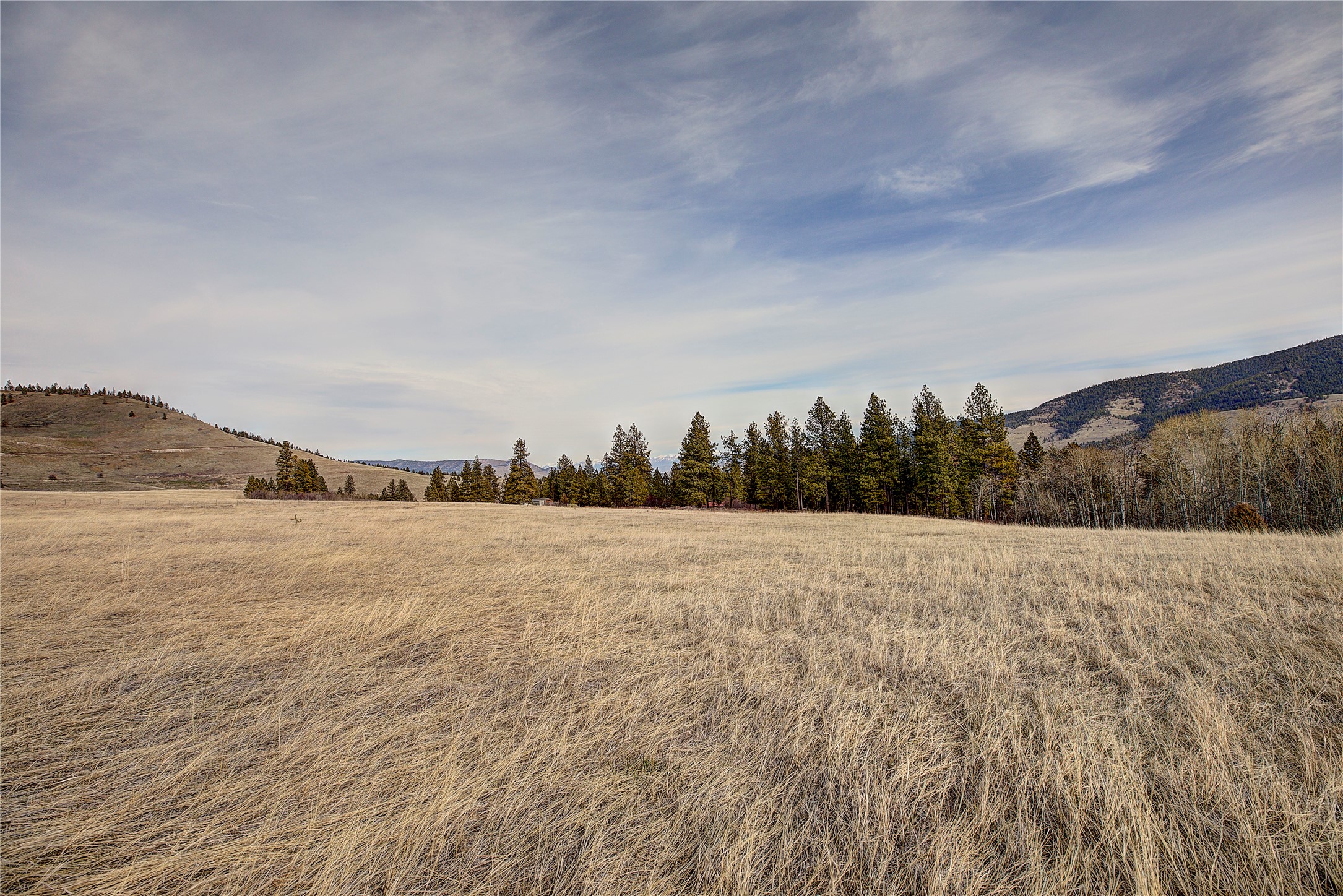 31365 Walking Horse Lane