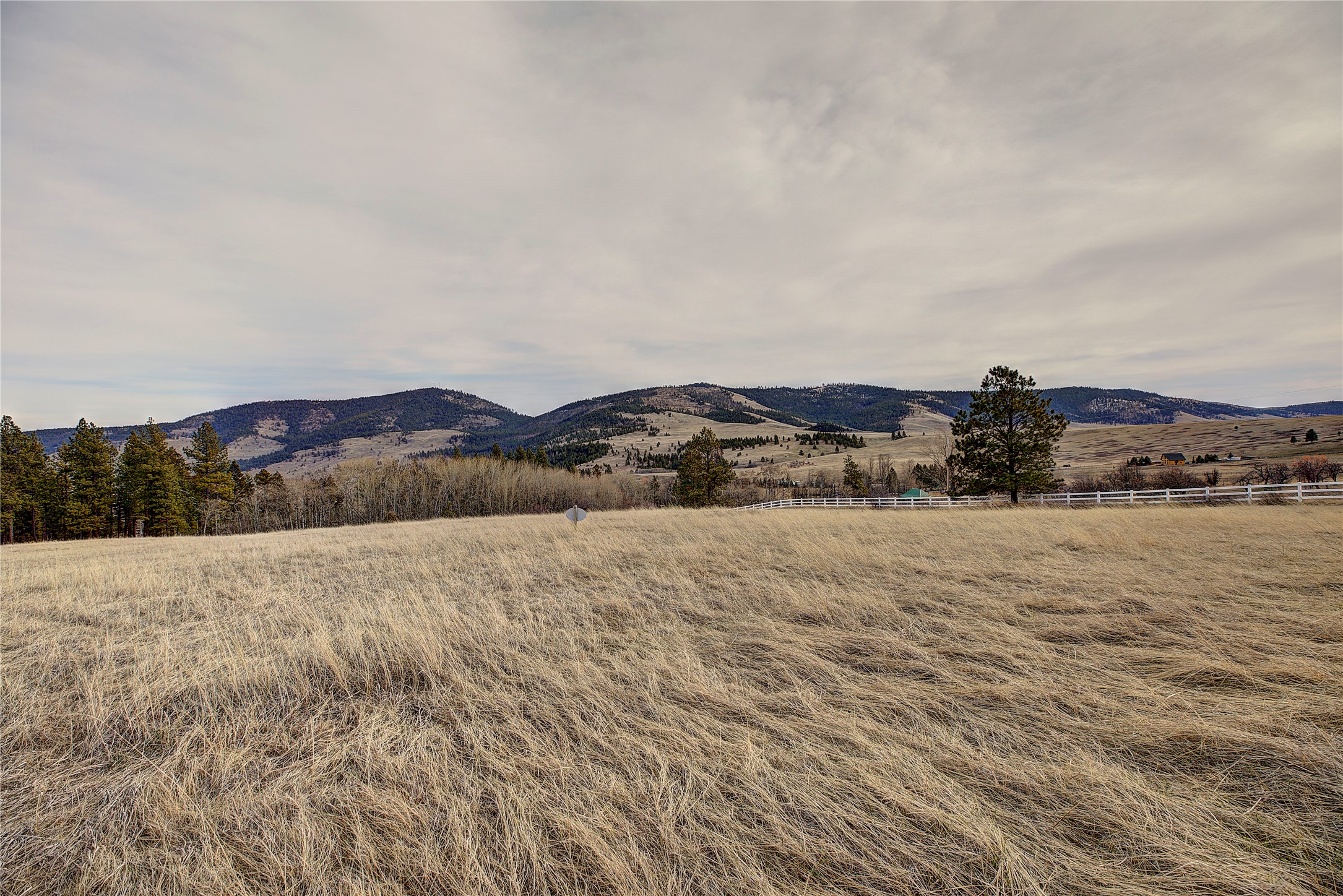 31365 Walking Horse Lane