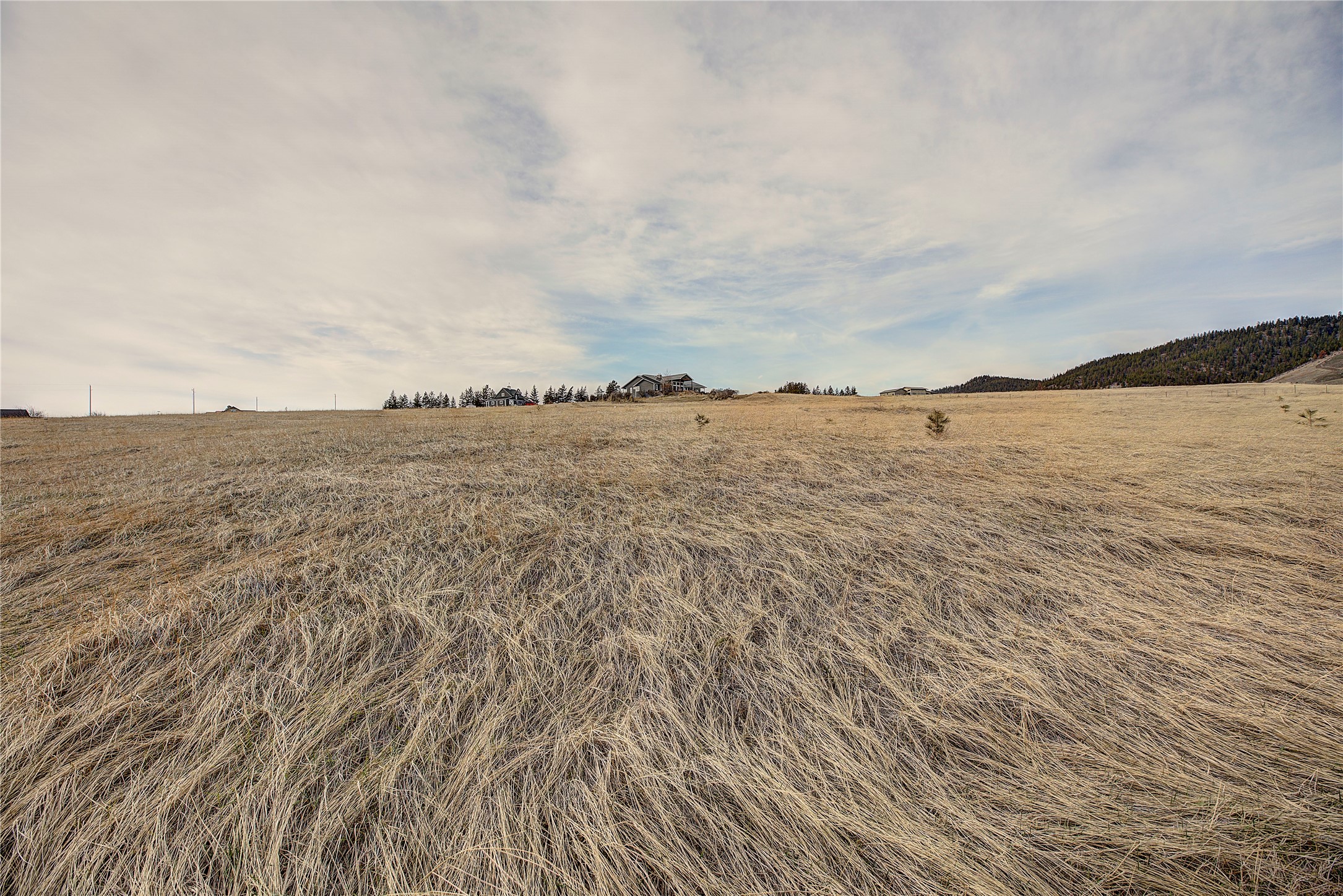 31365 Walking Horse Lane