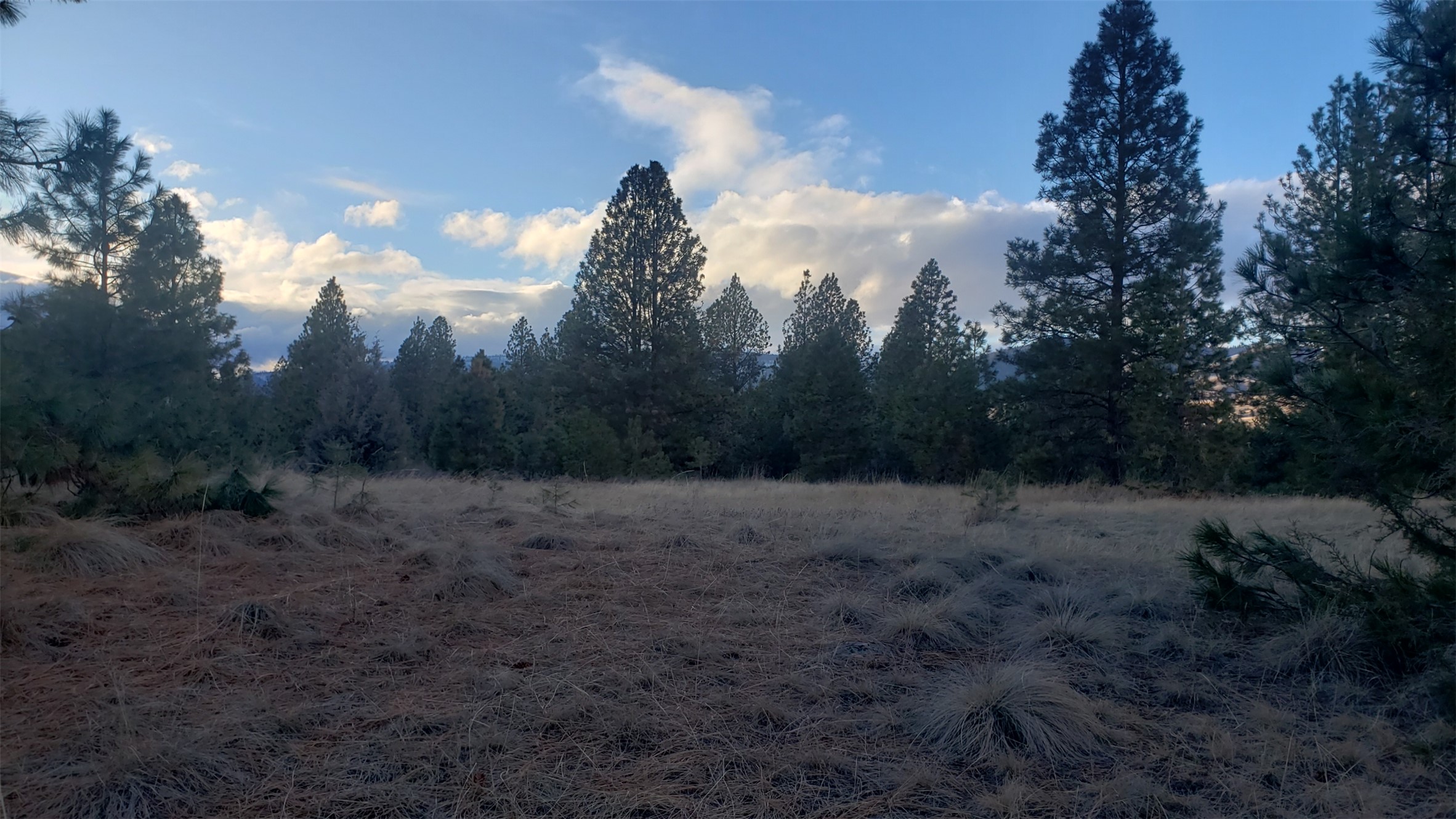 tbd Early Dawn Drive