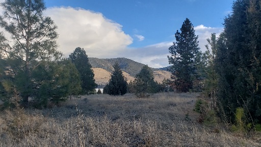 Photo 1 of 19 — tbd Early Dawn Drive, Big Arm, MT 59910