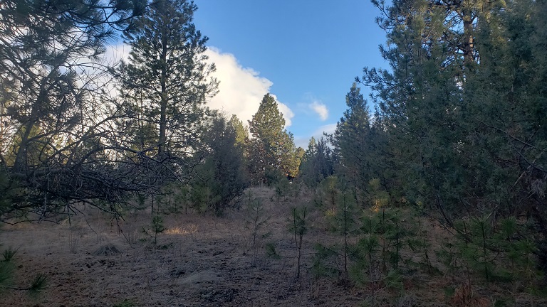 tbd Early Dawn Drive