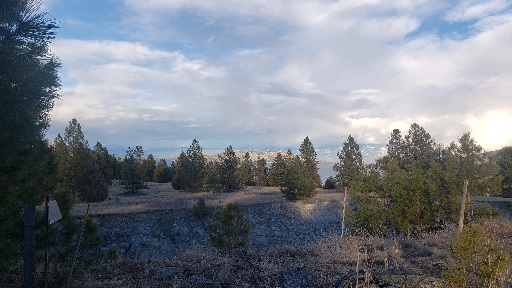 tbd Early Dawn Drive