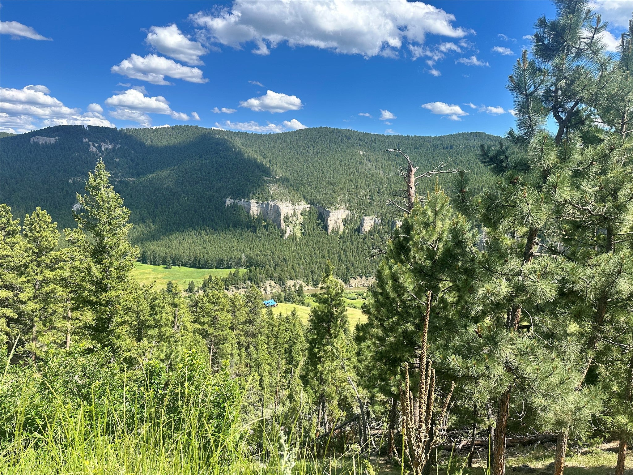 TBD Castle Bar Cabin Sites