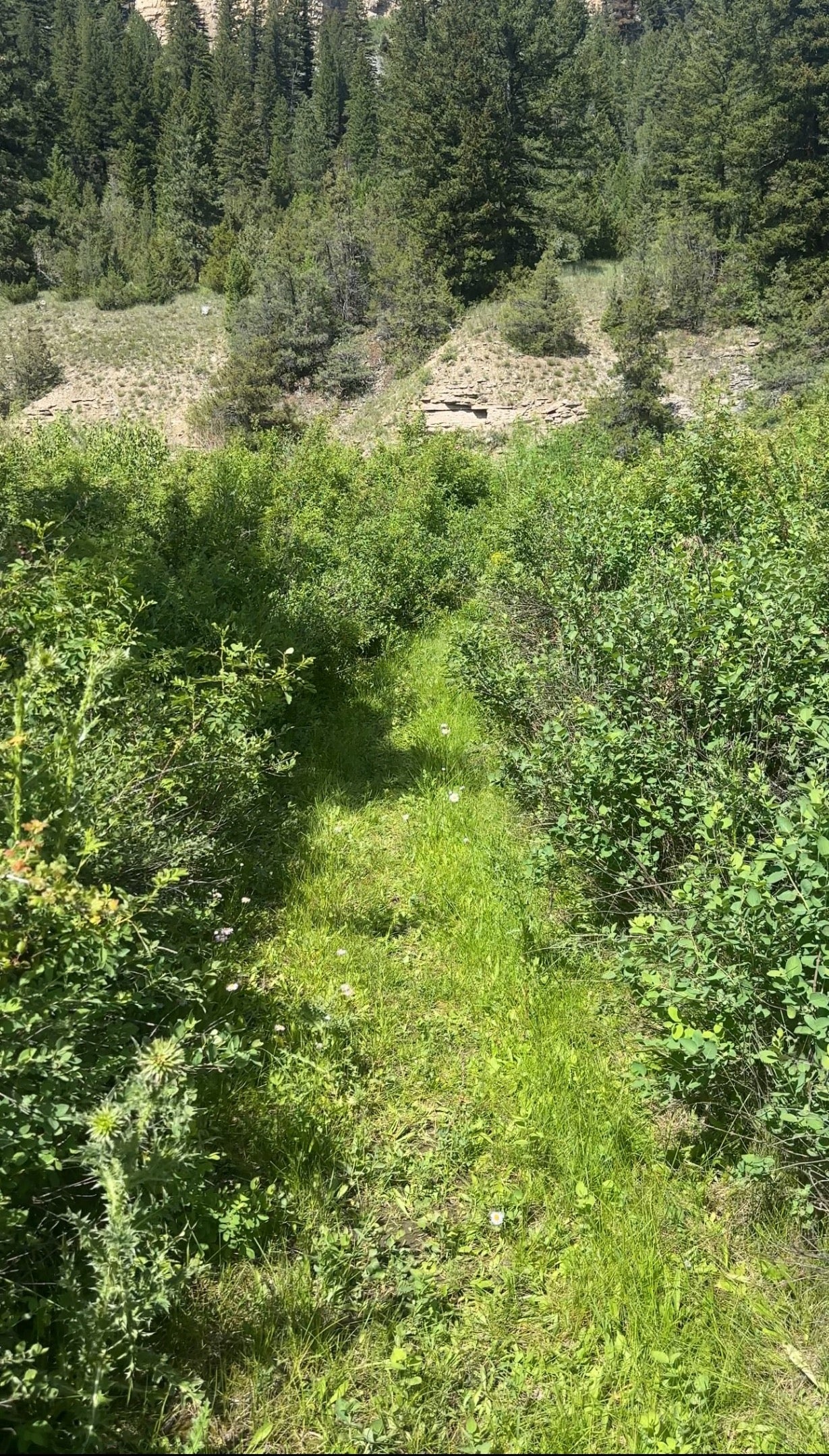TBD Castle Bar Cabin Sites