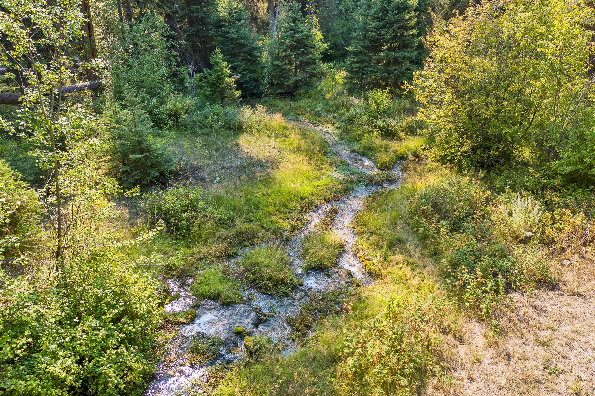 6300 Camas Creek Road